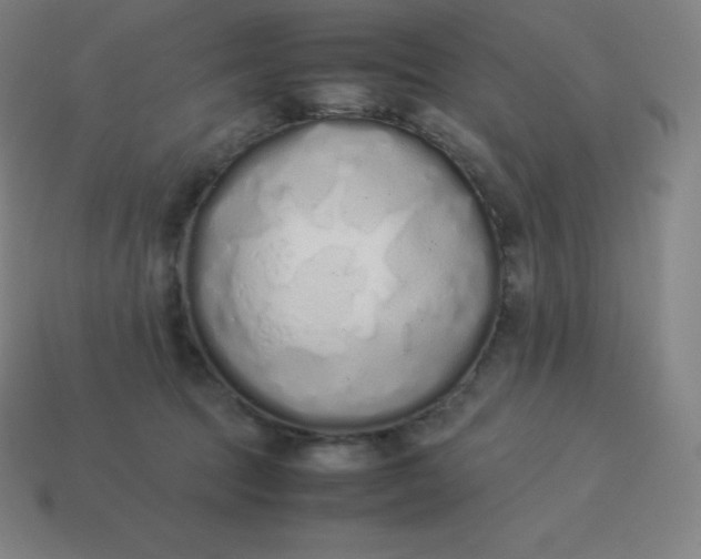 X0000113910369200910081855