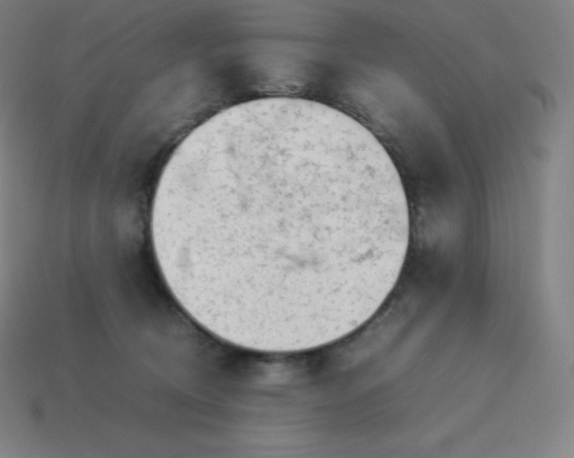 X0000113910370200910081855