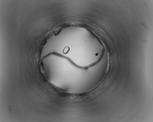 X0000113910372200910081855