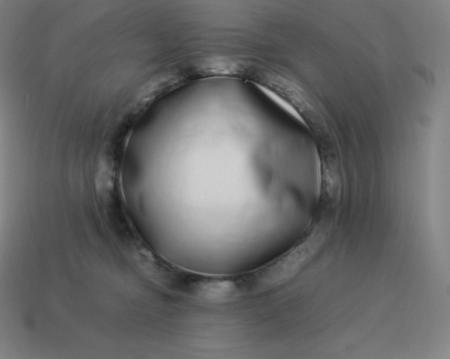 X0000113910374200910081855