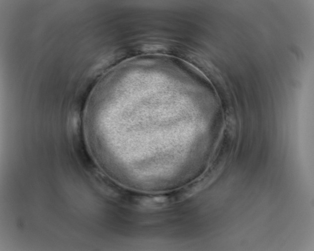 X0000113910375200910081855