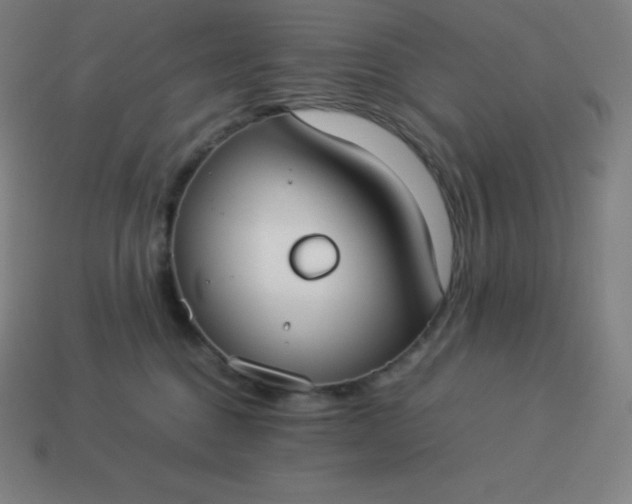 X0000113910376200910081855