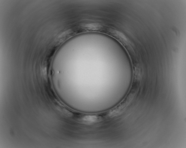 X0000113910377200910081855