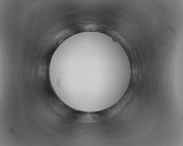 X0000113910379200910081855