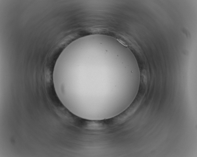 X0000113910380200910081855