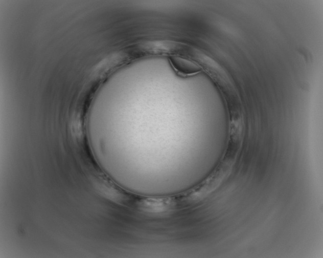 X0000113910381200910081855