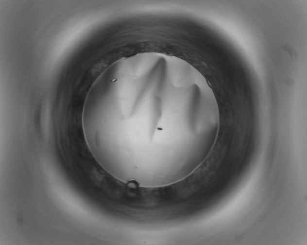 X0000113910382200910081855