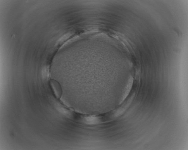 X0000113910383200910081855