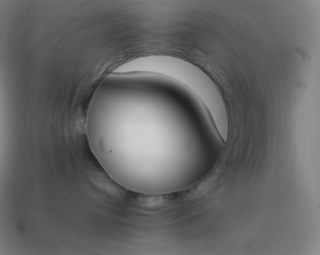 X0000113910384200910081855