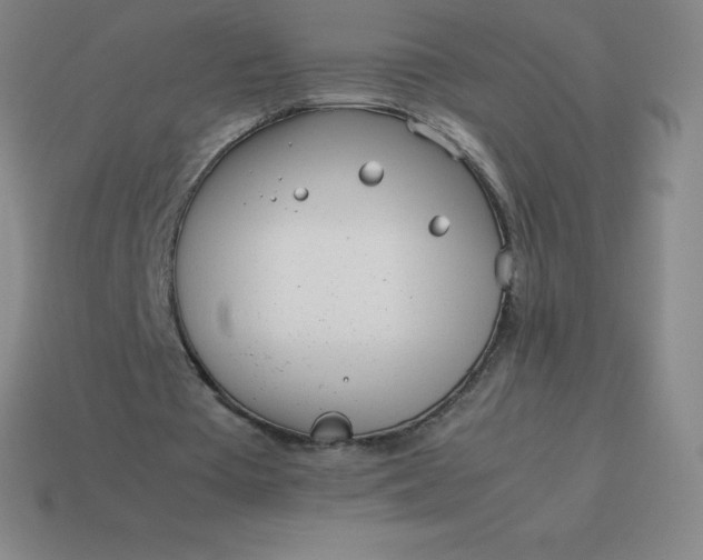 X0000113910385200910081854