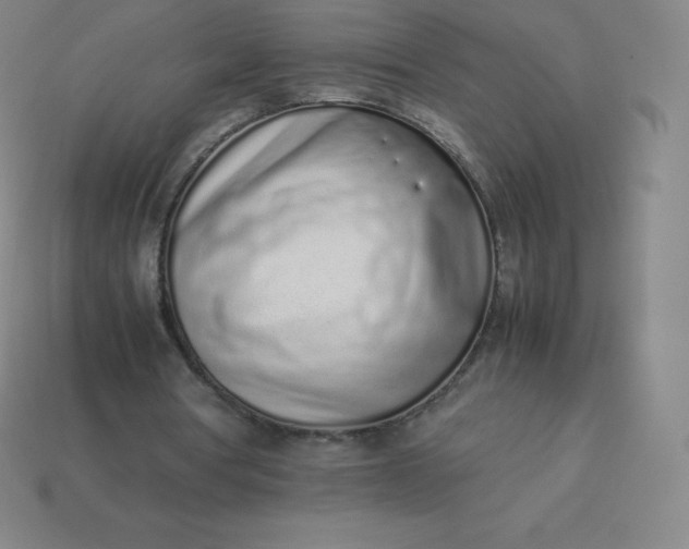 X0000113910386200910081854