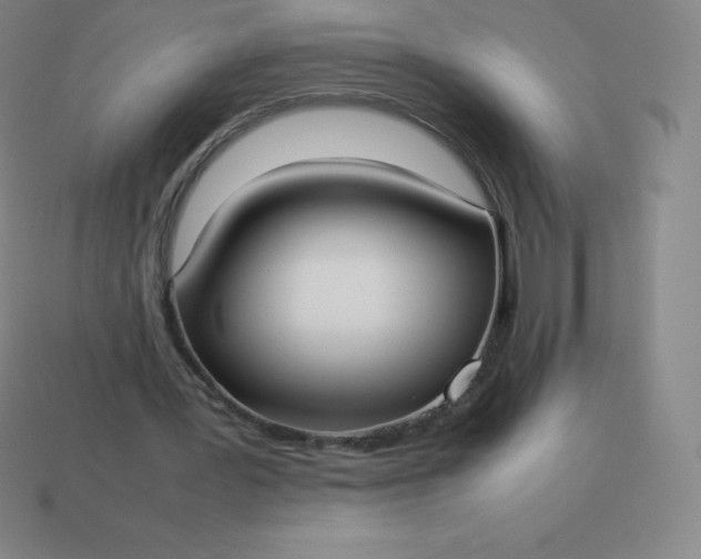 X0000113910387200910081854