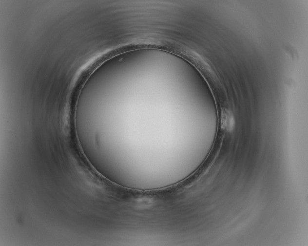 X0000113910388200910081854