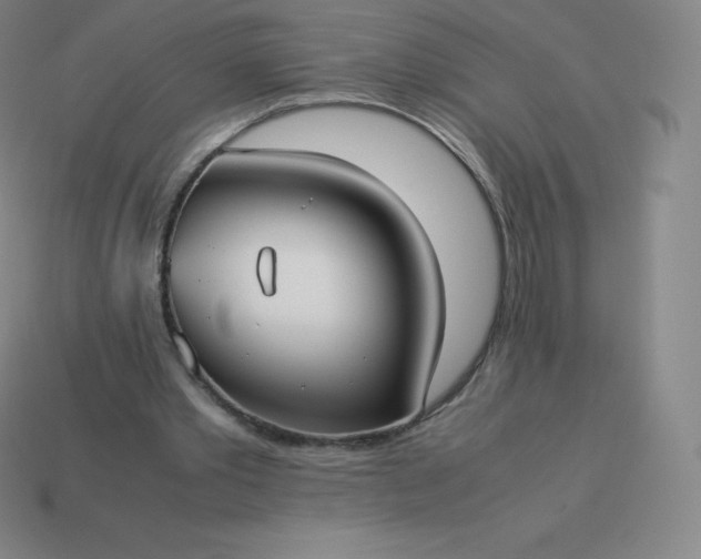 X0000113910389200910081854