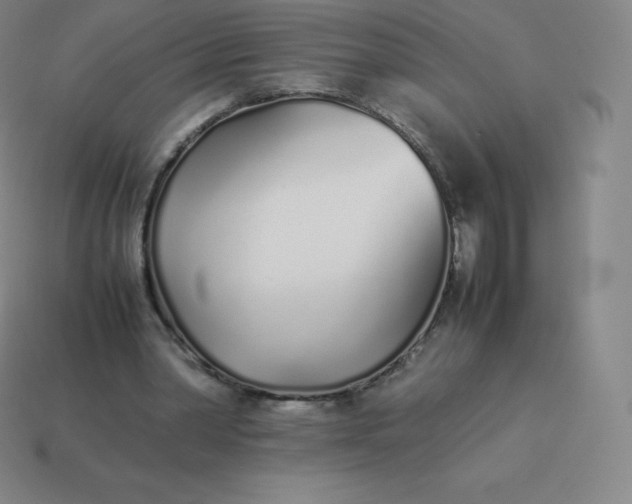 X0000113910390200910081854