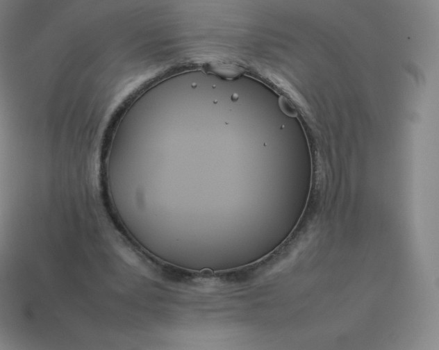 X0000113910391200910081854