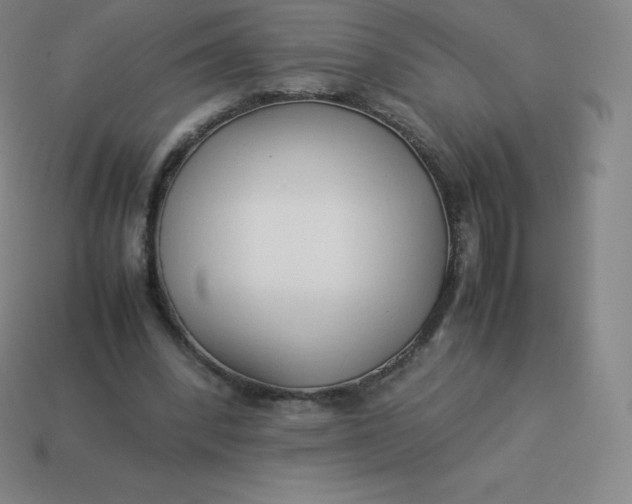 X0000113910392200910081854