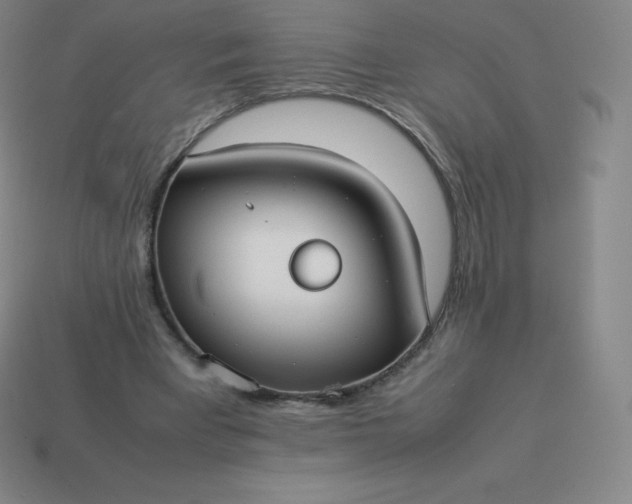 X0000113910393200910081854