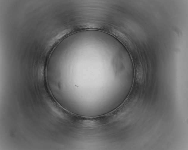 X0000113910394200910081854