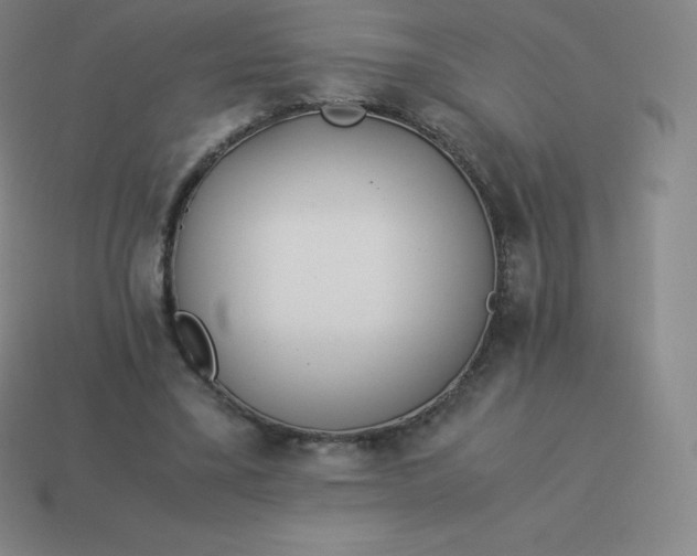 X0000113910395200910081854