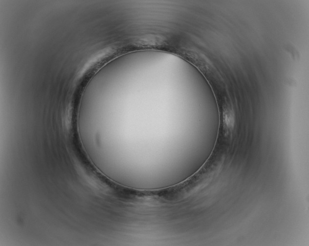 X0000113910396200910081854