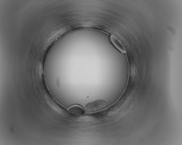 X0000113910397200910081854