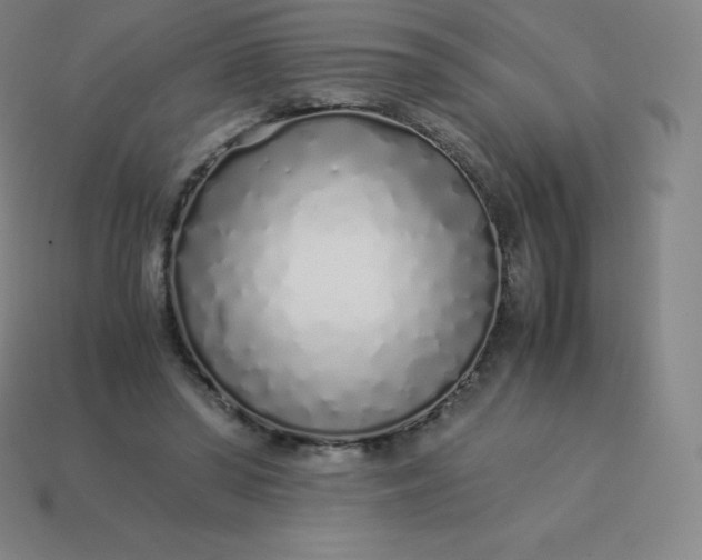 X0000113910398200910081854