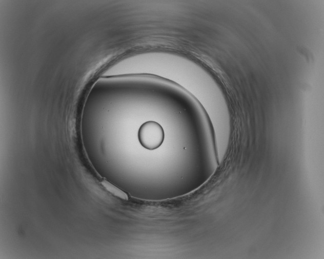 X0000113910399200910081854