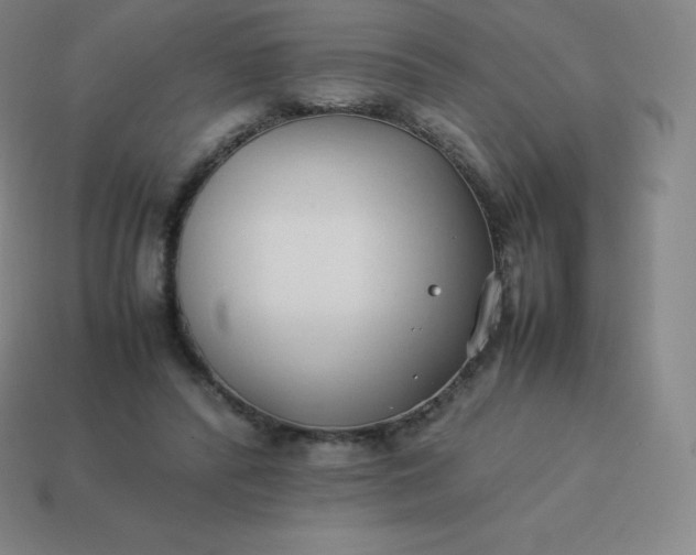 X0000113910400200910081854