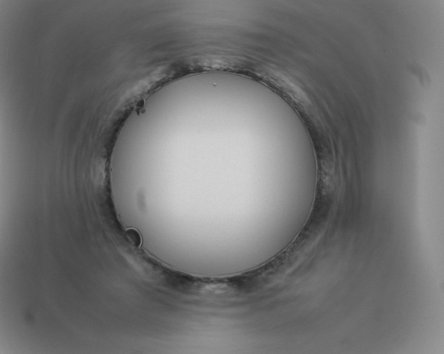 X0000113910401200910081854