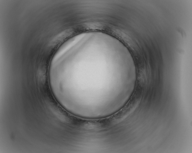 X0000113910402200910081854