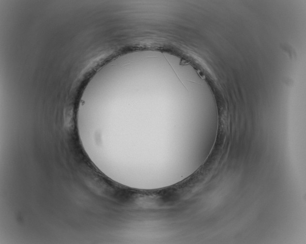 X0000113910403200910081854