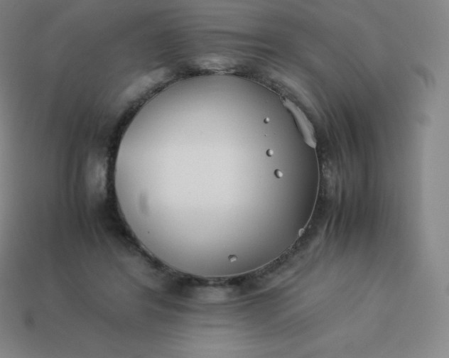 X0000113910404200910081854