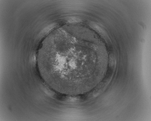 X0000113910405200910081854