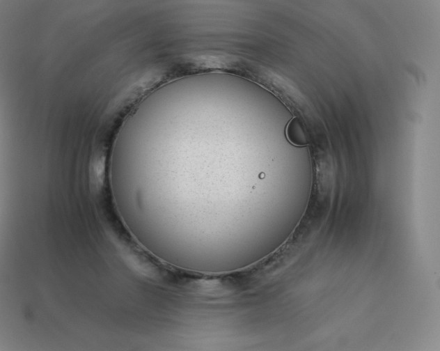 X0000113910406200910081854