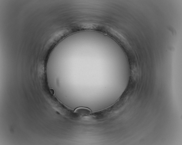 X0000113910407200910081854