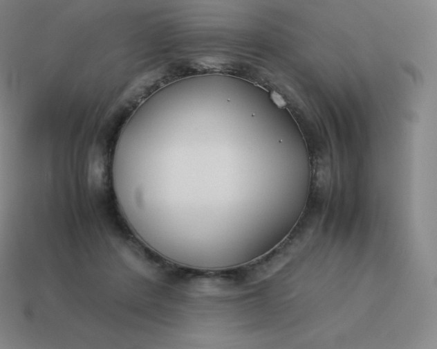 X0000113910408200910081854