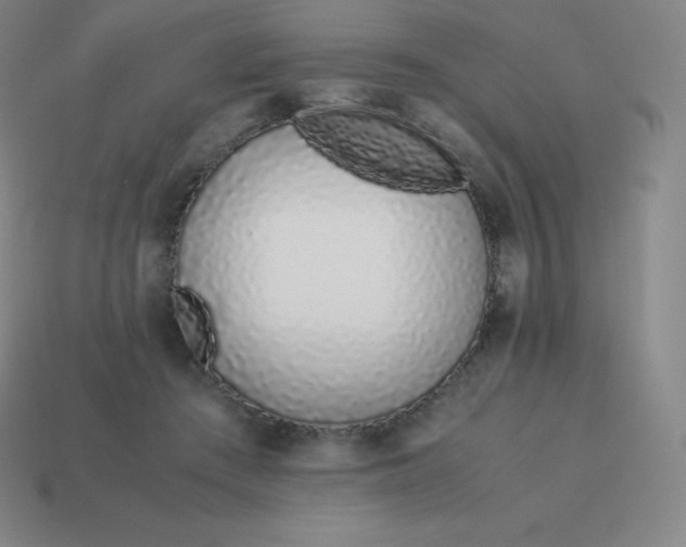 X0000113910409200910081854