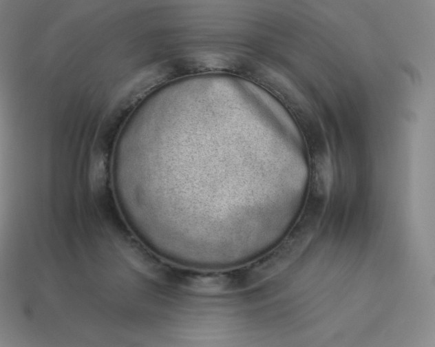 X0000113910410200910081854