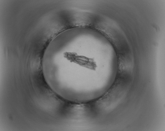 X0000113910411200910081854