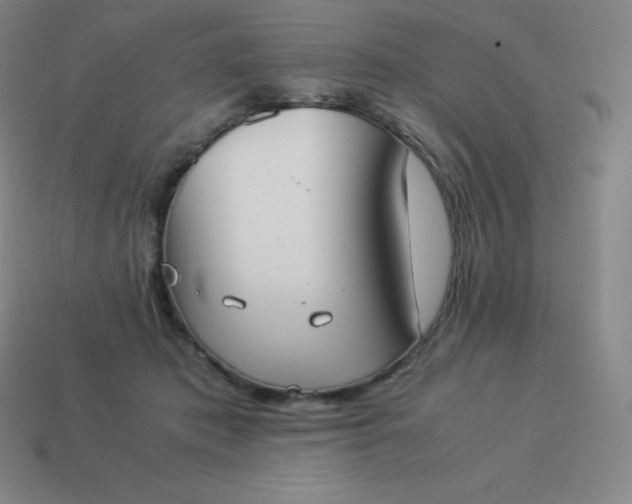 X0000113910413200910081854