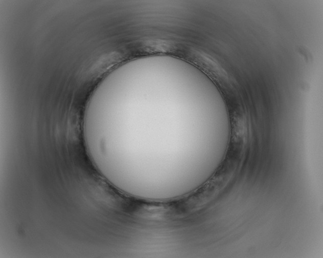 X0000113910414200910081854