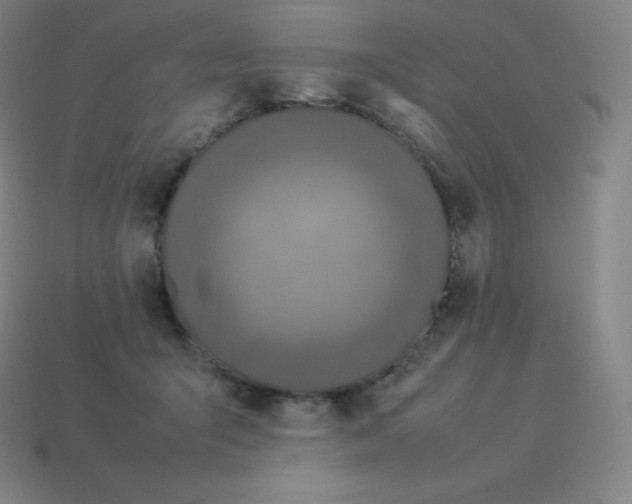 X0000113910415200910081854