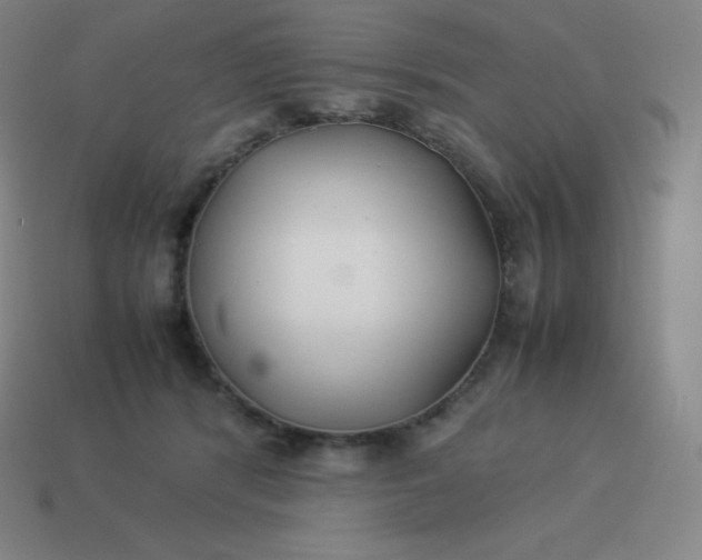 X0000113910416200910081854