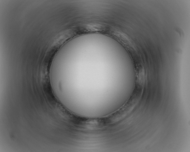 X0000113910418200910081854