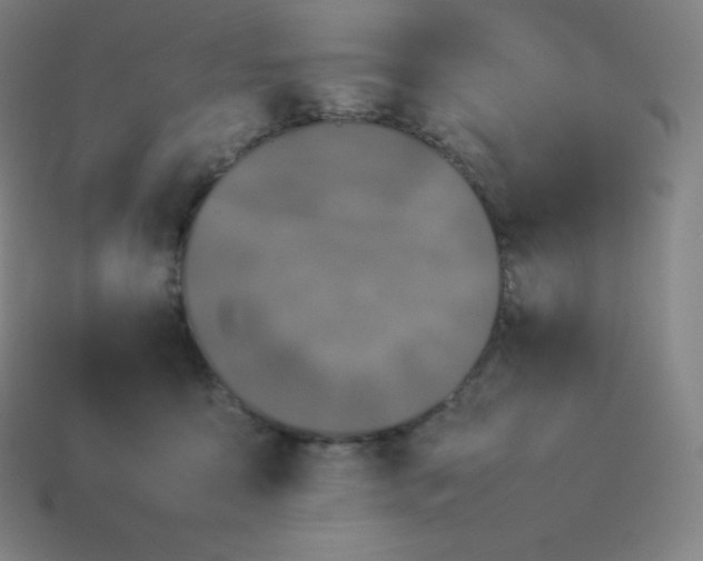 X0000113910419200910081854