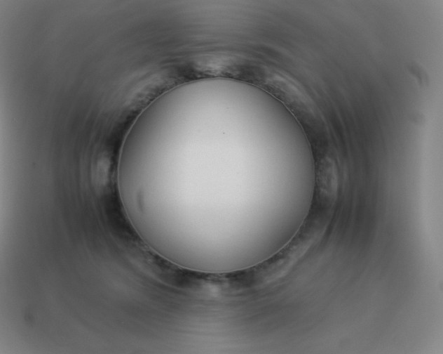 X0000113910420200910081854