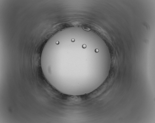 X0000113910421200910081854