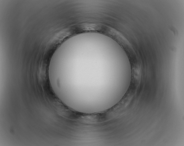 X0000113910422200910081854