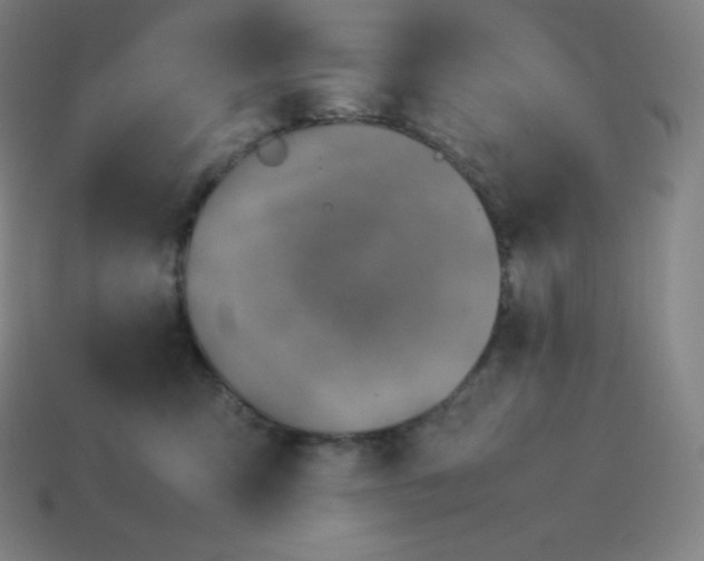 X0000113910423200910081854